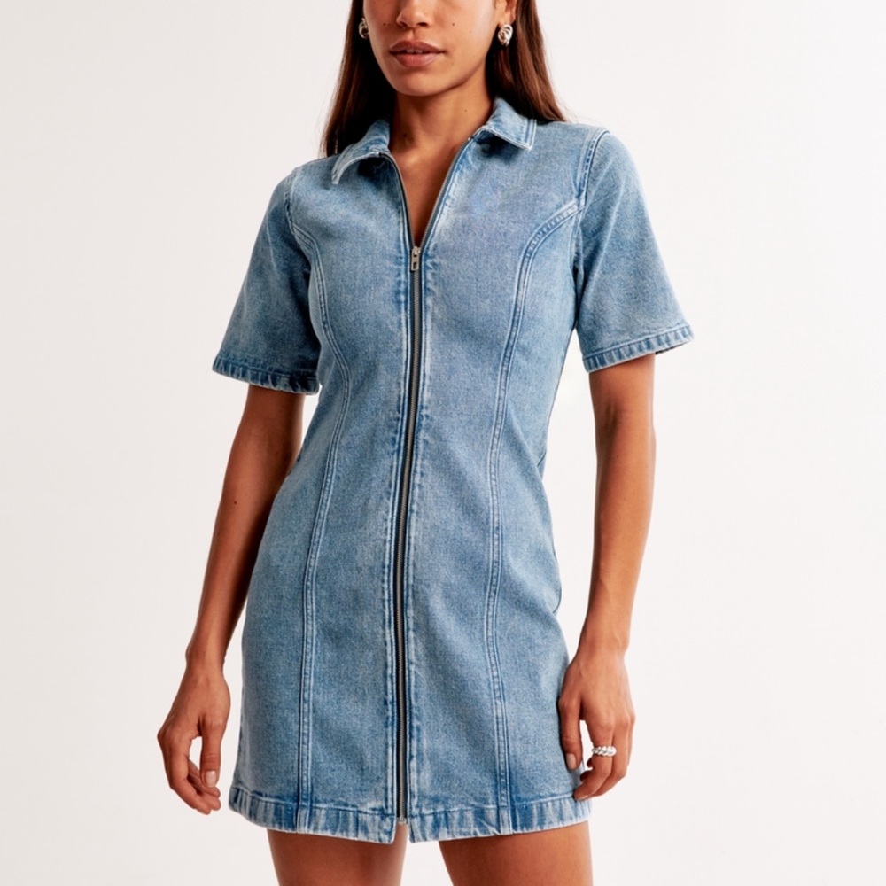 Abercrombie Denim Zip-Front Dress